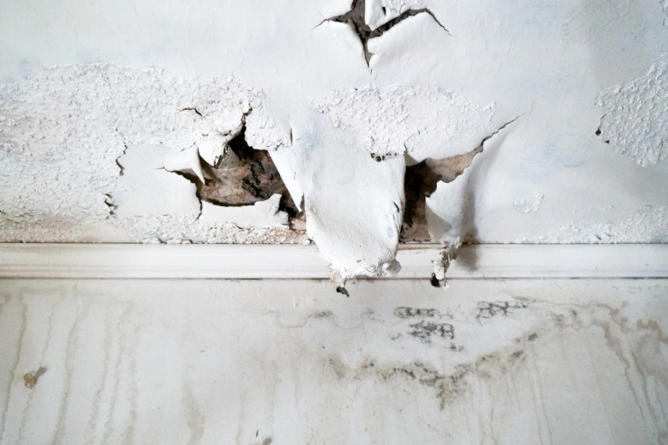 The First Steps You Must Take To Recover From Water Damage