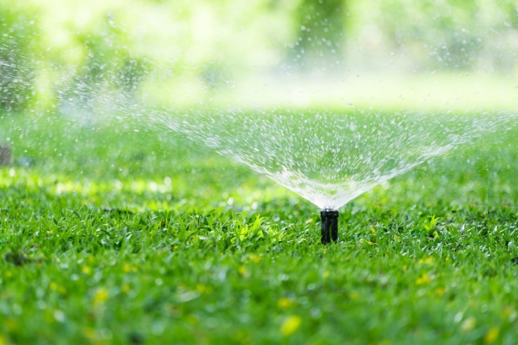 The Ultimate Guide to Saving Water In The Summer